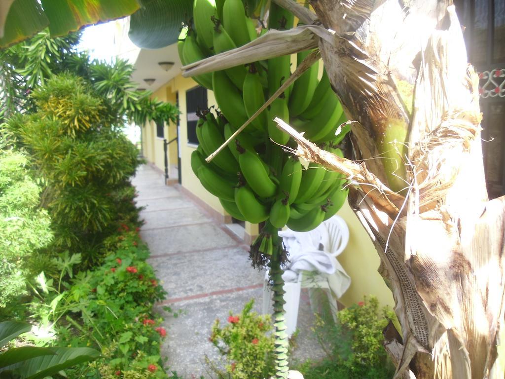 Residencial El Mirador Aparthotel Boca Chica Luaran gambar